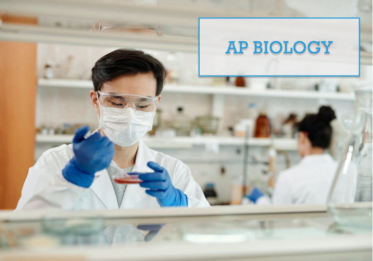 What makes AP Biology difficult for students?